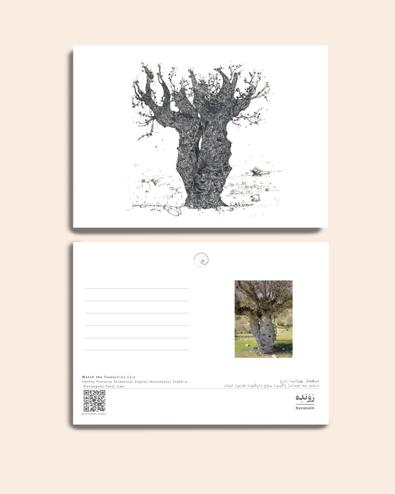 See the Trees No.2